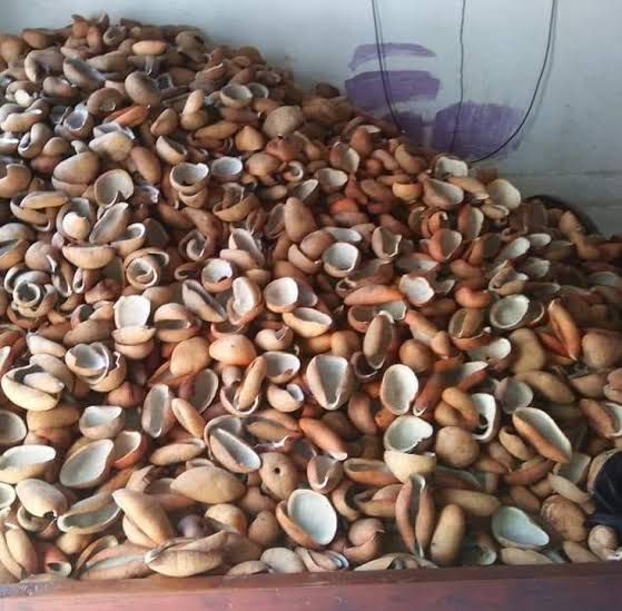 Hore ! Pemerintah Bakal Salurkan Bantuan Tunai Untuk PKL dan Warung